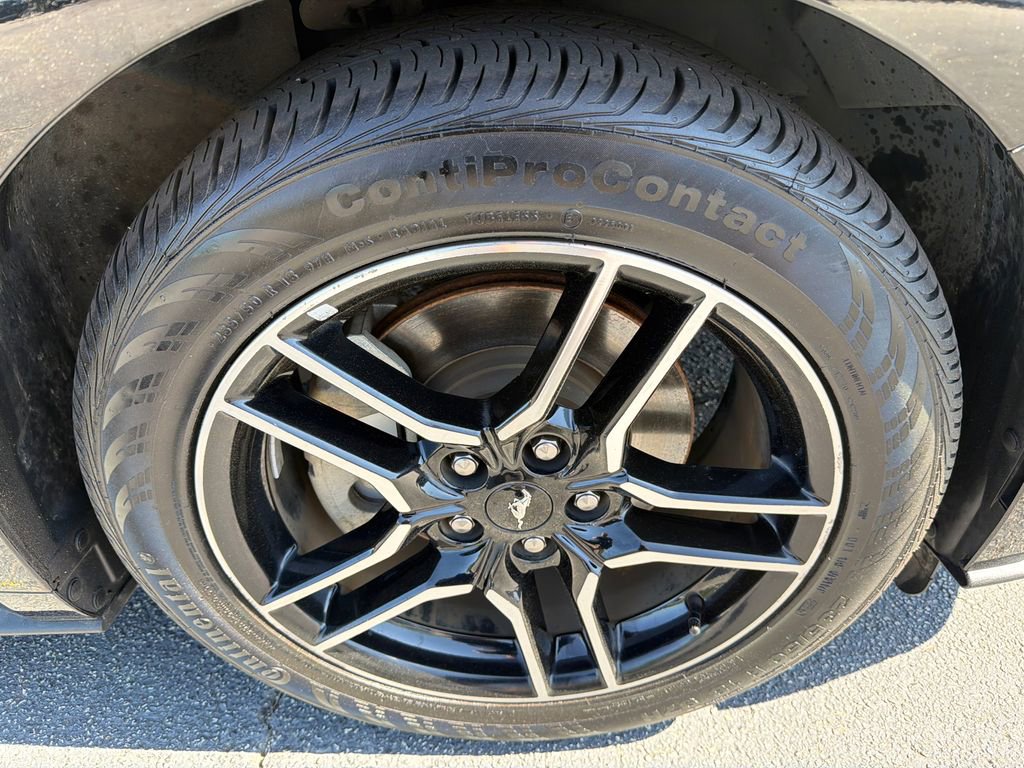 Used 2018 Ford Mustang Premium w/ Equipment Group 201A RWD image 12