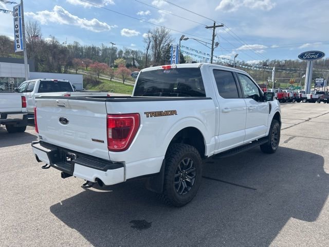 Used 2023 Ford F150 Tremor image 13