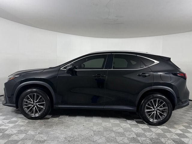 Certified 2023 Lexus NX 350 AWD image 3