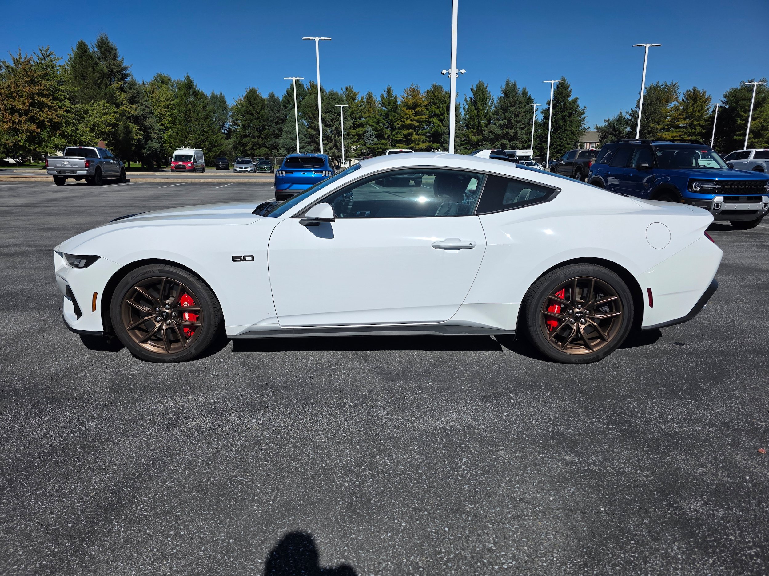 Used 2024 Ford Mustang GT Premium RWD image 2