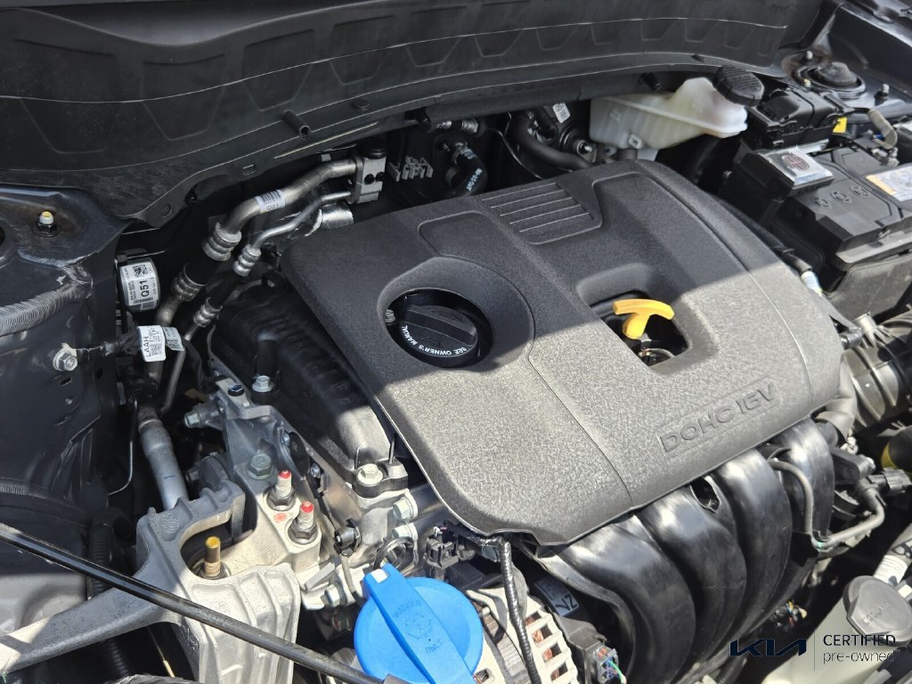 Certified 2024 Kia Seltos EX AWD/4WD image 19