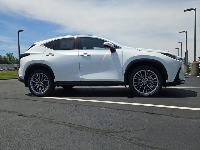 New 2026 Lexus NX 350 AWD w/ Premium Package image 2