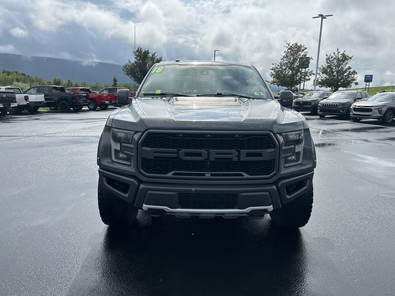 Used 2018 Ford F150 Raptor w/ Equipment Group 802A Luxury AWD/4WD image 2
