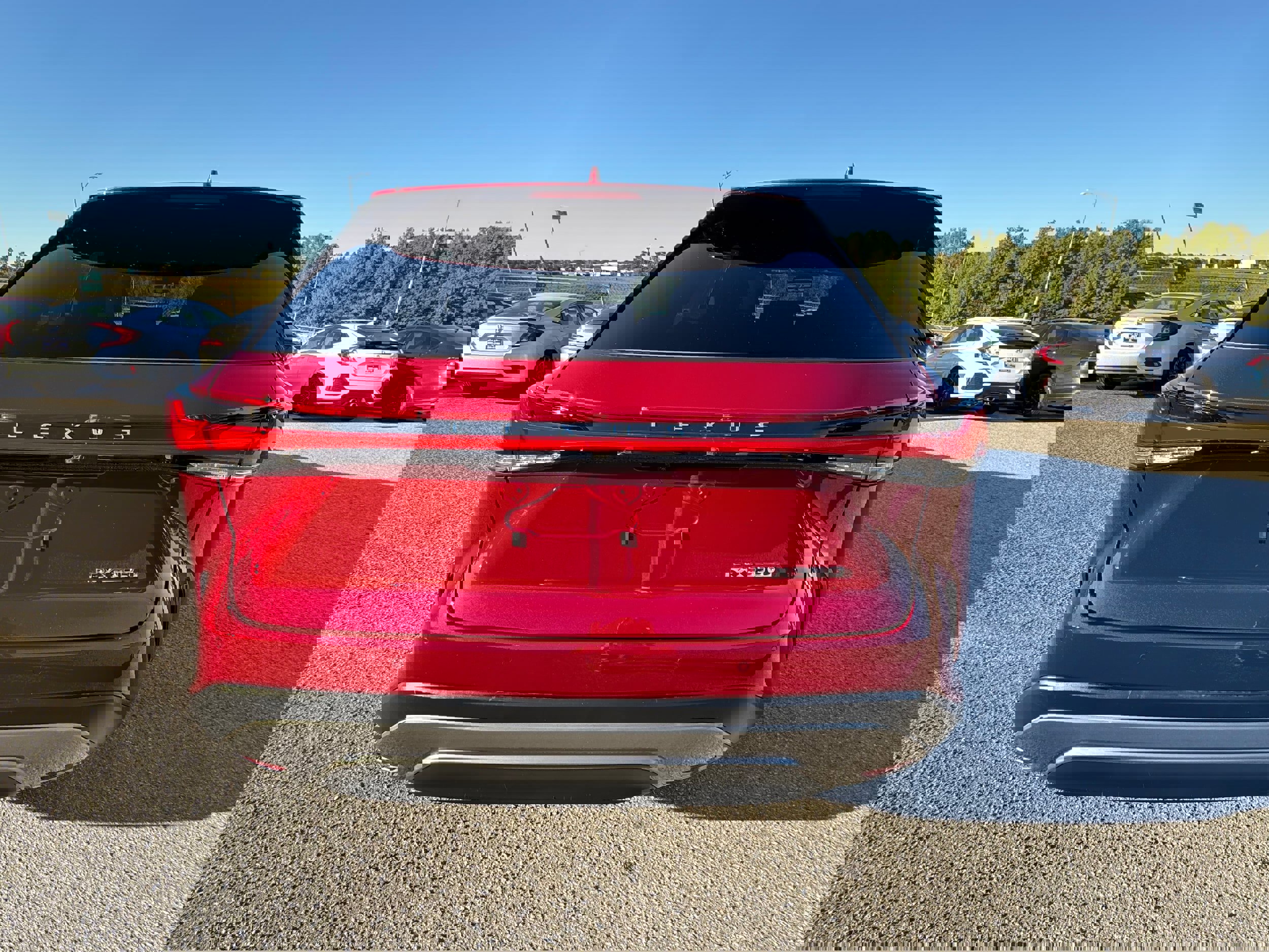 Used 2025 Lexus RX 350 Premium Plus image 6