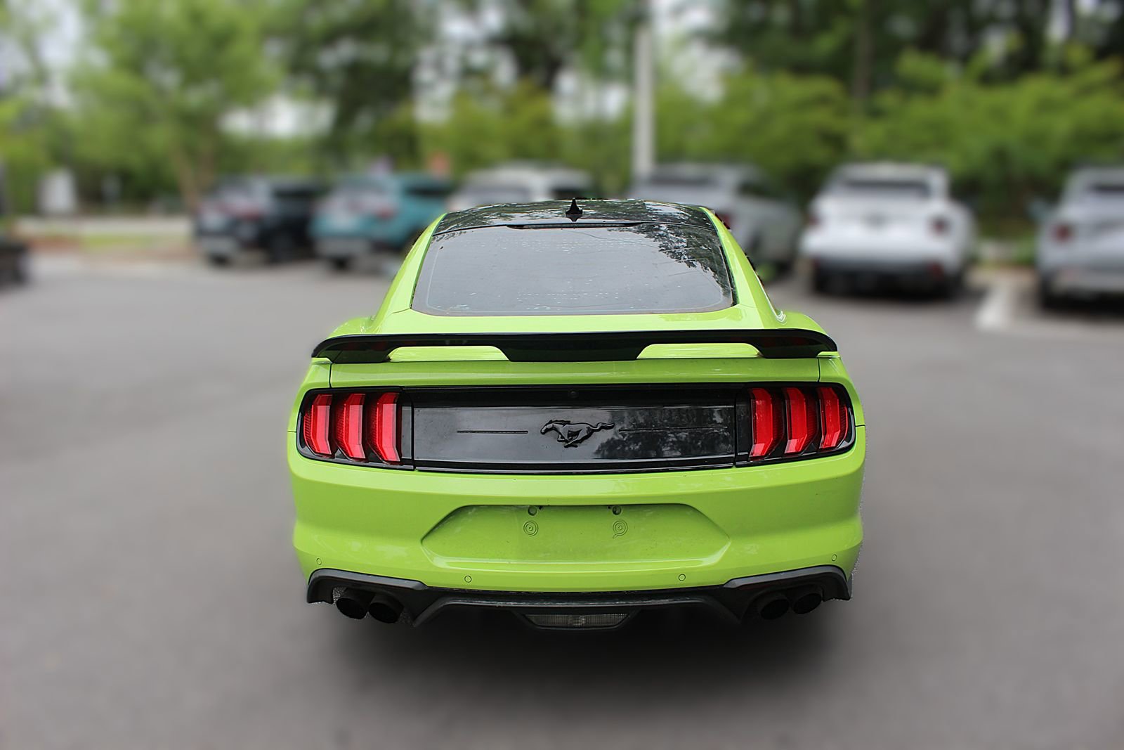 Used 2020 Ford Mustang Premium w/ Equipment Group 201A RWD image 7