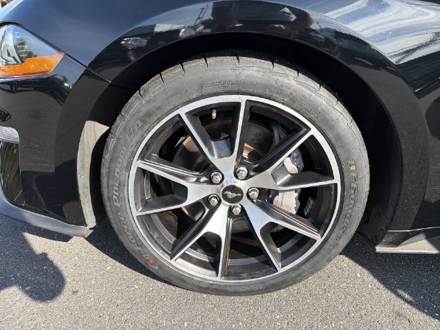 Used 2022 Ford Mustang Premium w/ 2.3L High Performance Package RWD image 32