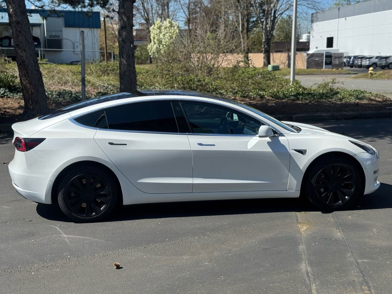 Used 2019 Tesla Model 3 Standard Range Plus RWD image 5