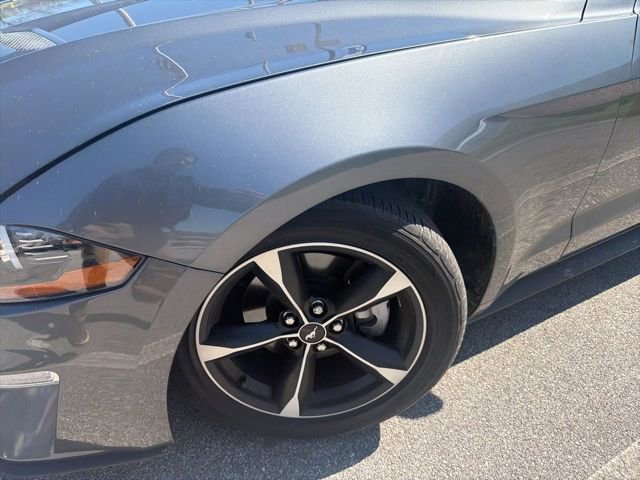 Used 2022 Ford Mustang EcoBoost w/ Equipment Group 101A image 4