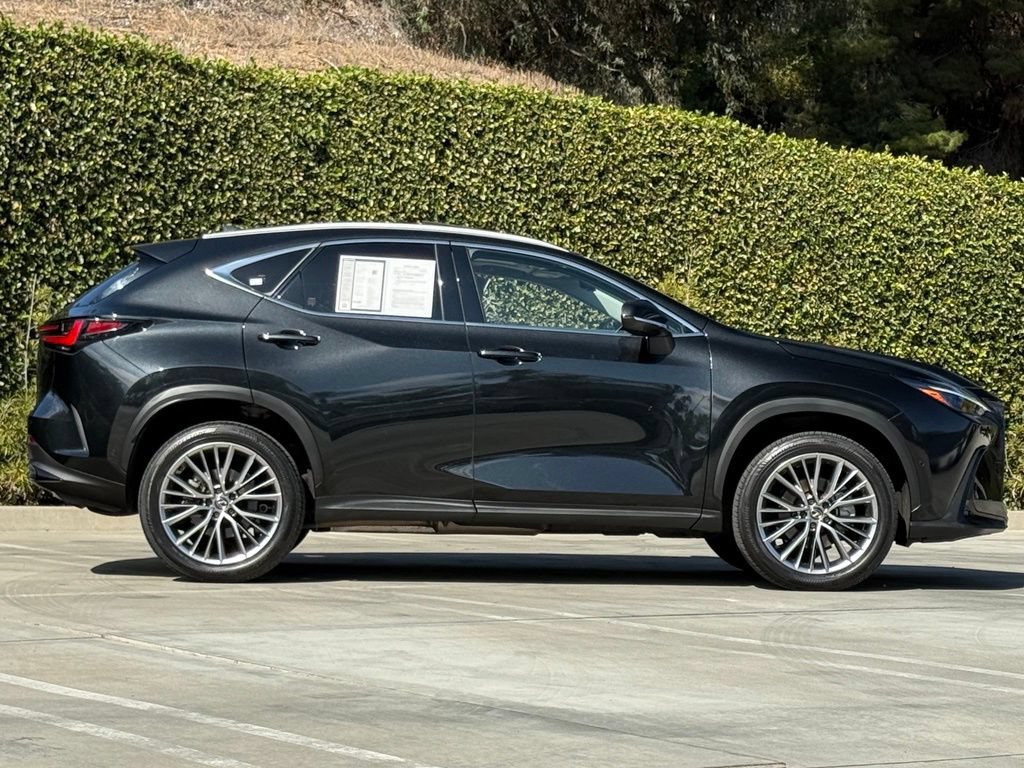 Certified 2025 Lexus NX 350h AWD w/ Cold Area Package image 10