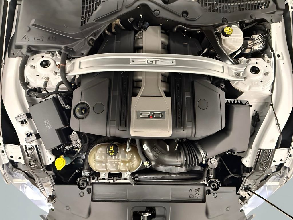 Used 2019 Ford Mustang GT Premium w/ Equipment Group 401A image 17