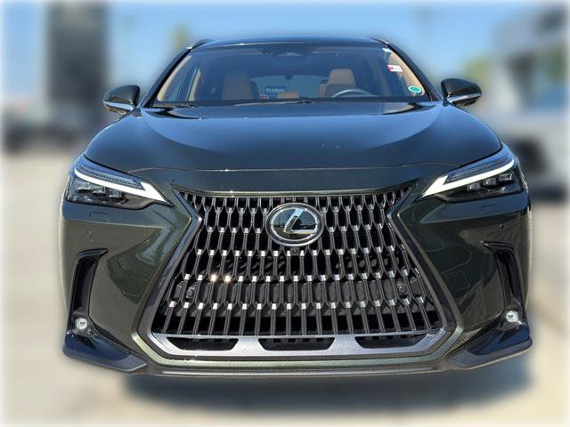Used 2024 Lexus NX 350h AWD w/ Vision Package image 3