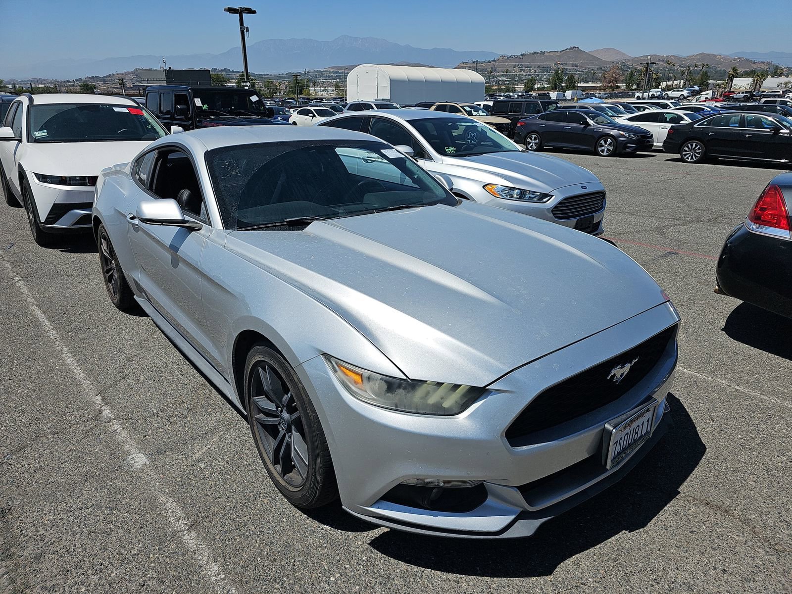 Used 2017 Ford Mustang Premium RWD image 4