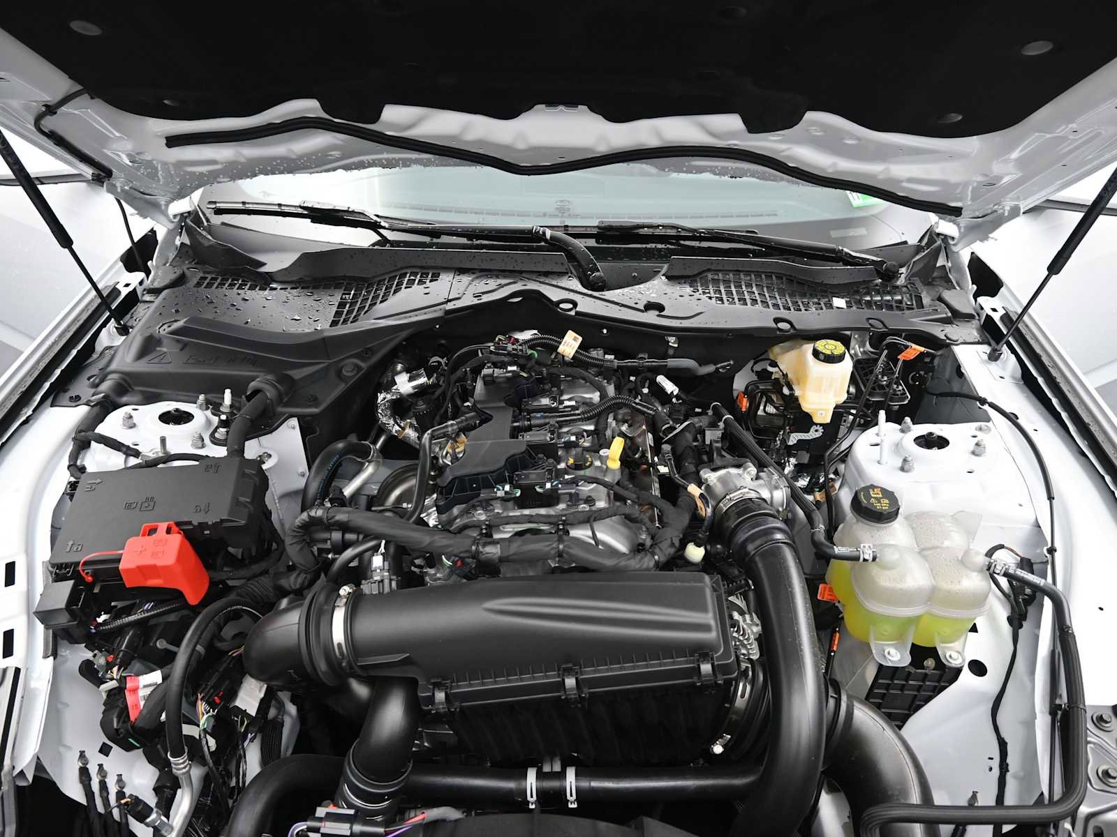 New 2026 Ford Mustang Coupe image 11