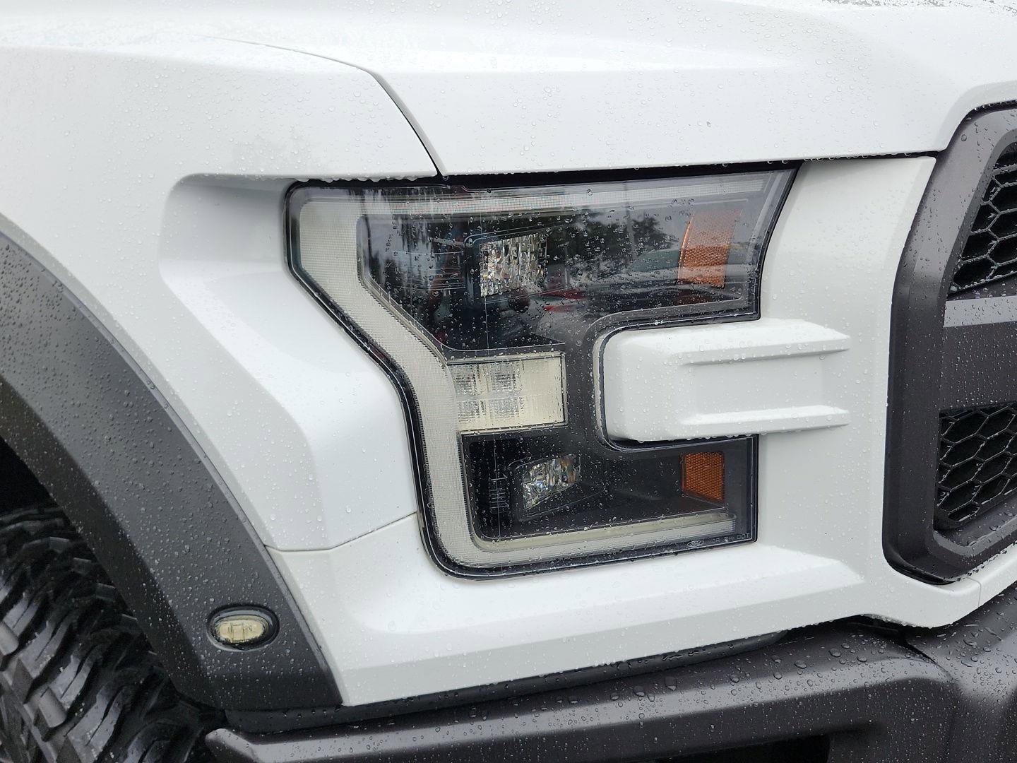 Used 2019 Ford F150 Raptor w/ Equipment Group 802A Luxury image 5