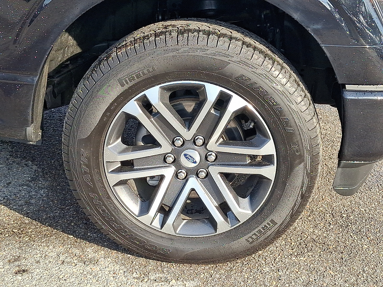 Used 2023 Ford F150 XL w/ STX Appearance Package AWD/4WD image 8