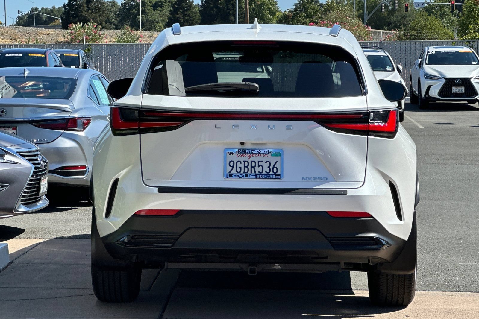 Certified 2024 Lexus NX 250 FWD image 5