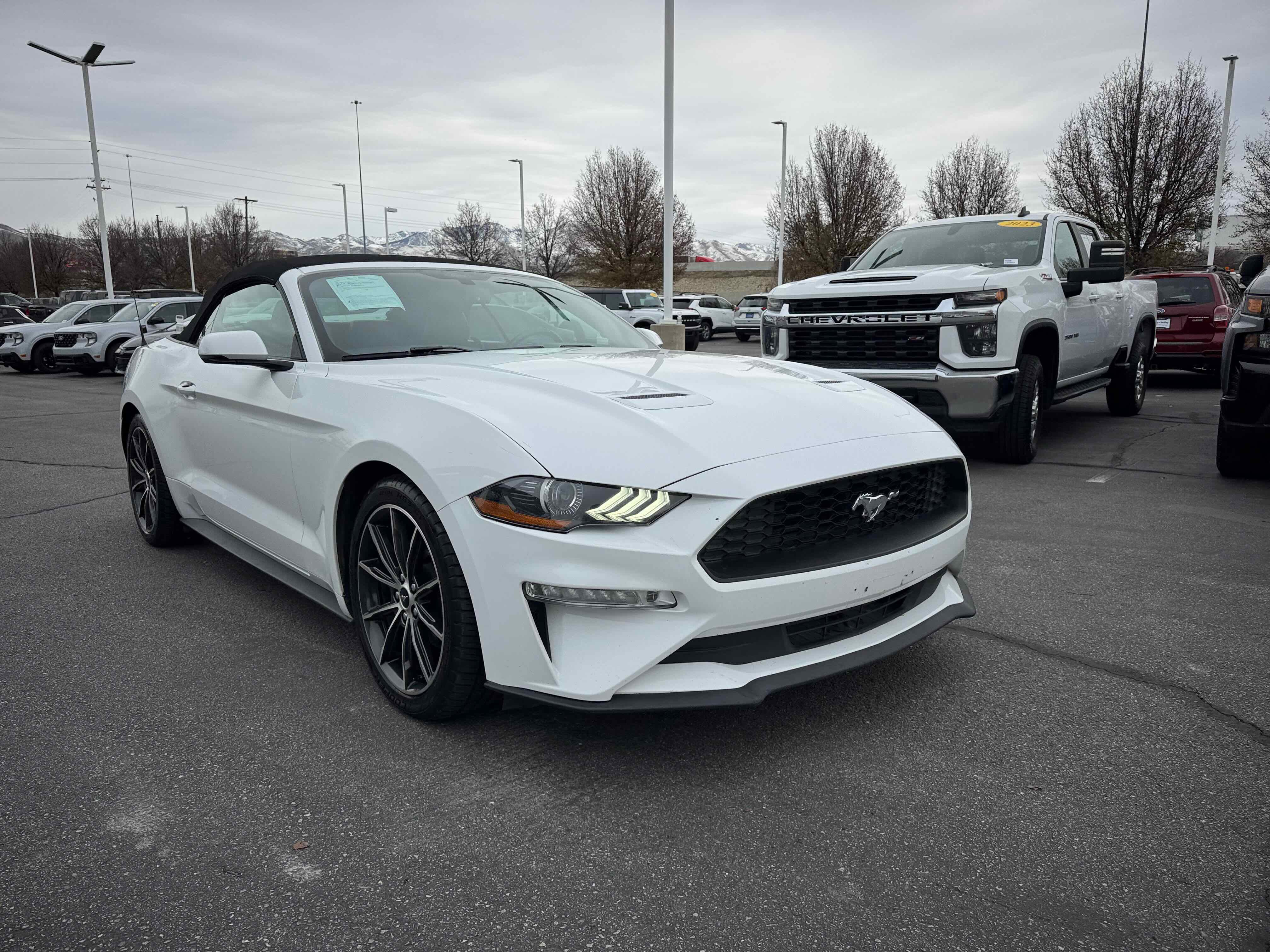 Certified 2018 Ford Mustang Premium w/ Equipment Group 201A image 11