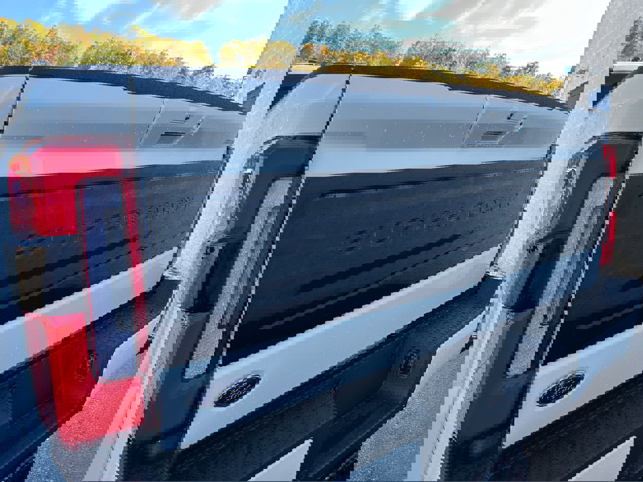 New 2026 Ford F450 Platinum w/ Snow Plow Prep Package image 28