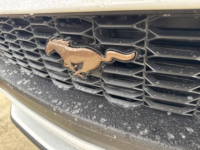 New 2026 Ford Mustang Coupe w/ Bronze Appearance Package image 10