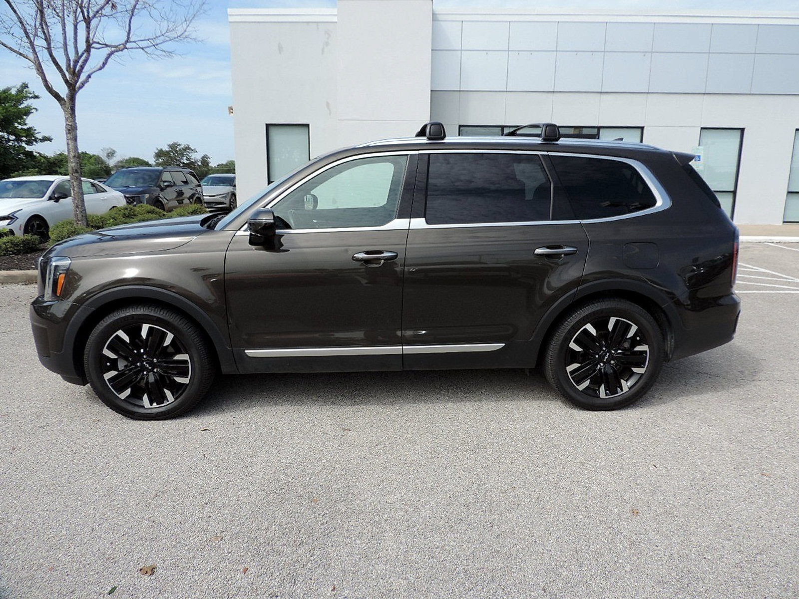 Used 2023 Kia Telluride SX Prestige AWD/4WD image 8