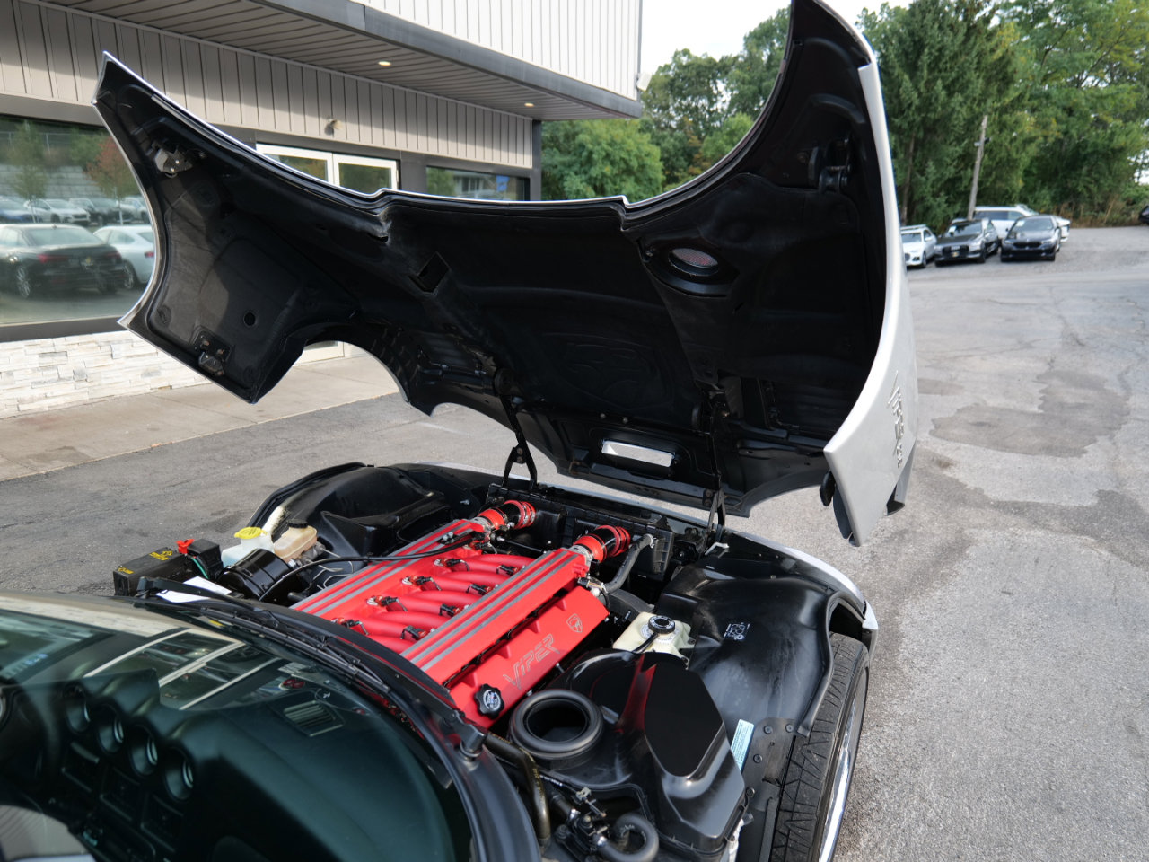 Used 1999 Dodge Viper GTS image 45