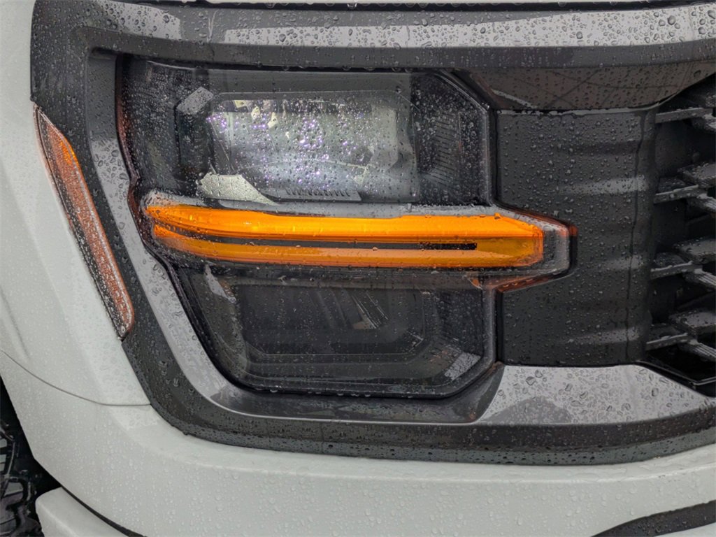 New 2025 Ford F150 STX w/ Equipment Group 200A image 9
