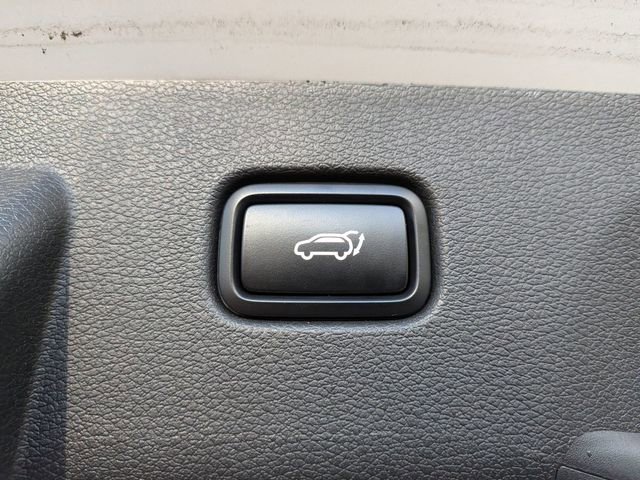 Used 2024 Kia Sportage X-Pro image 31