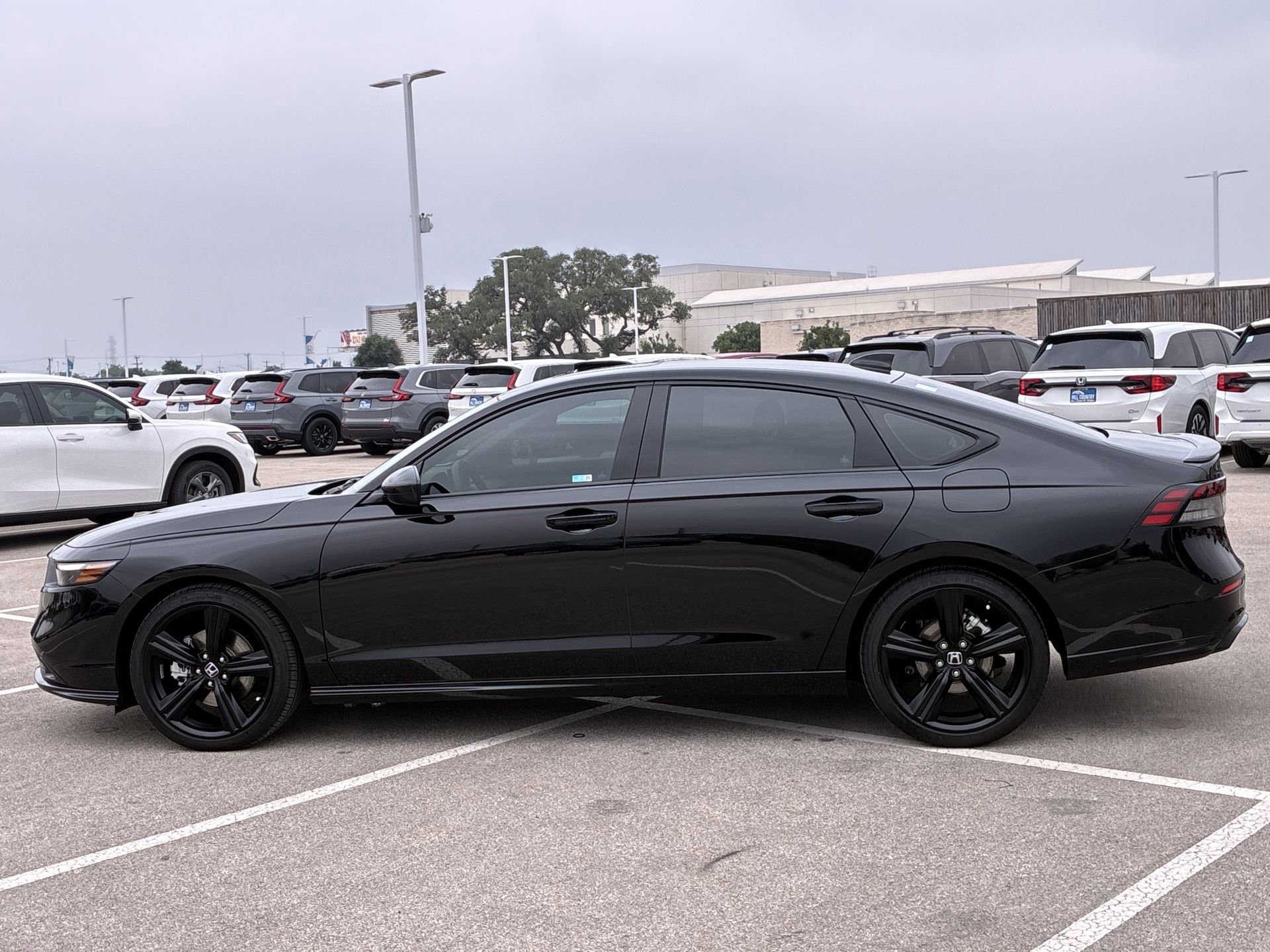 Certified 2026 Honda Accord Sport image 3