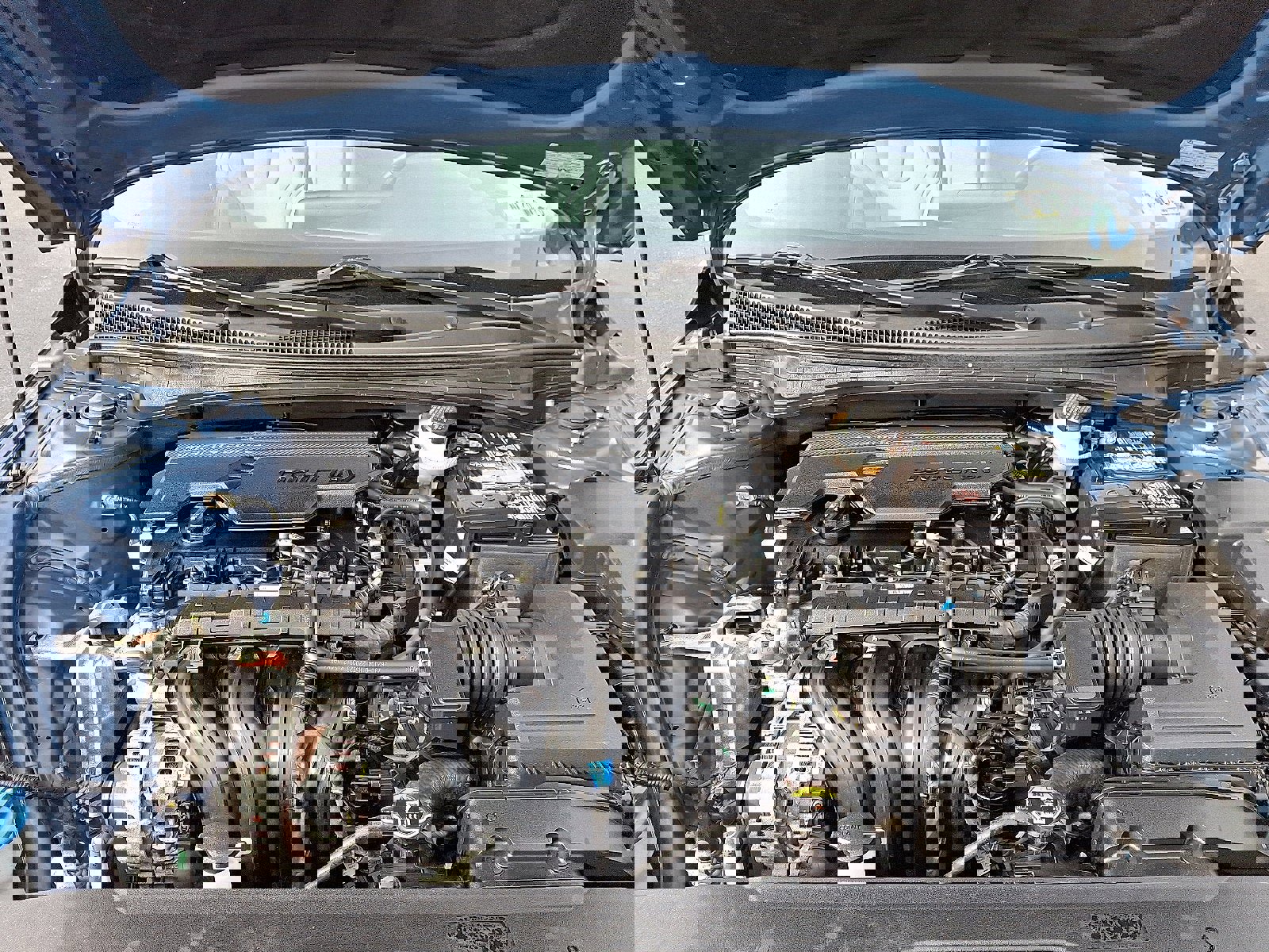 Used 2023 Hyundai Elantra Limited image 33