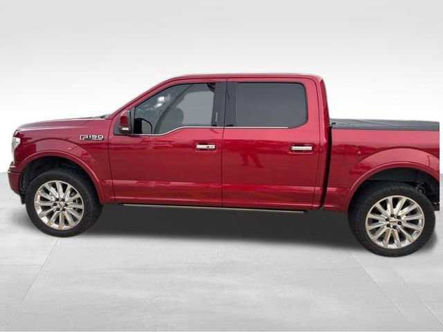 Used 2019 Ford F150 Limited image 12