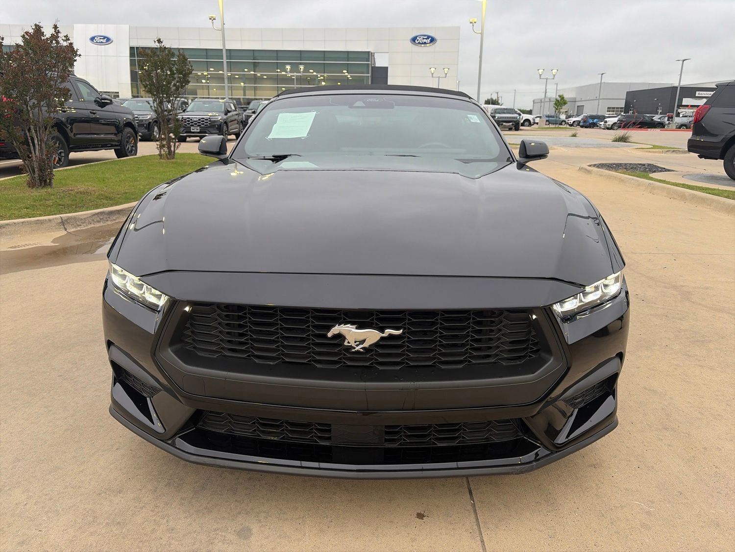 Used 2024 Ford Mustang Premium RWD image 8