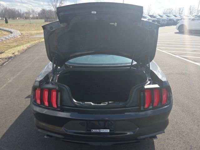 Certified 2023 Ford Mustang EcoBoost w/ Equipment Group 101A image 12