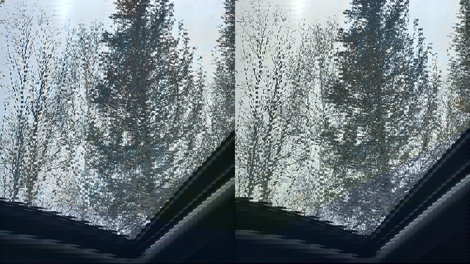 Certified 2025 Subaru Forester Sport image 24