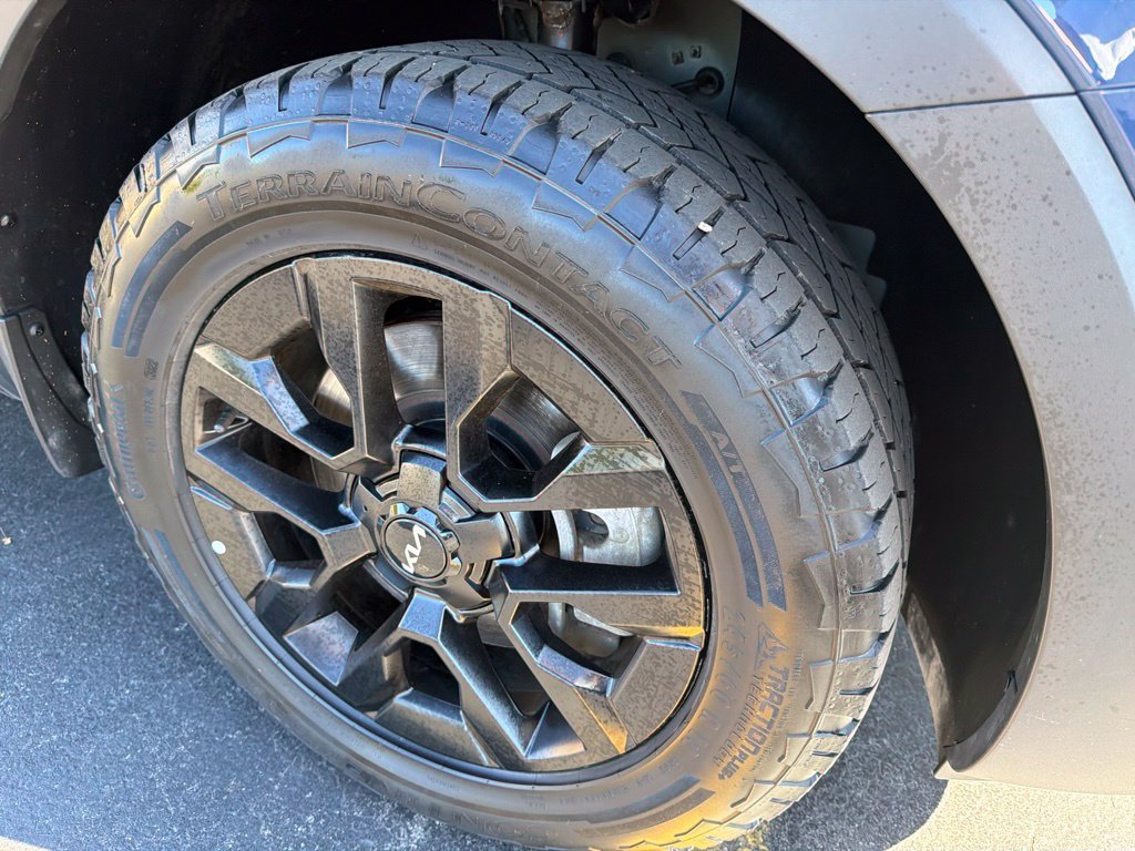 Used 2023 Kia Telluride SX Prestige X-Pro AWD/4WD image 5