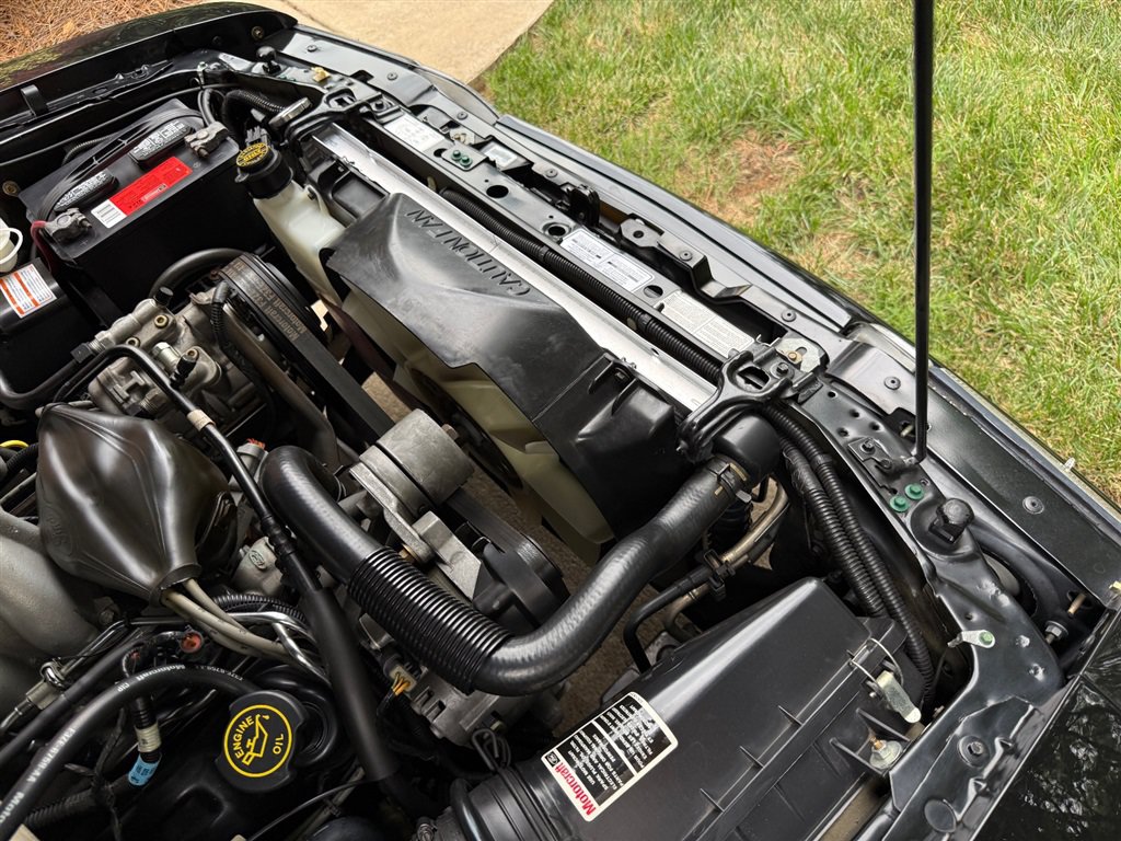 Used 1993 Ford Mustang Cobra RWD image 73