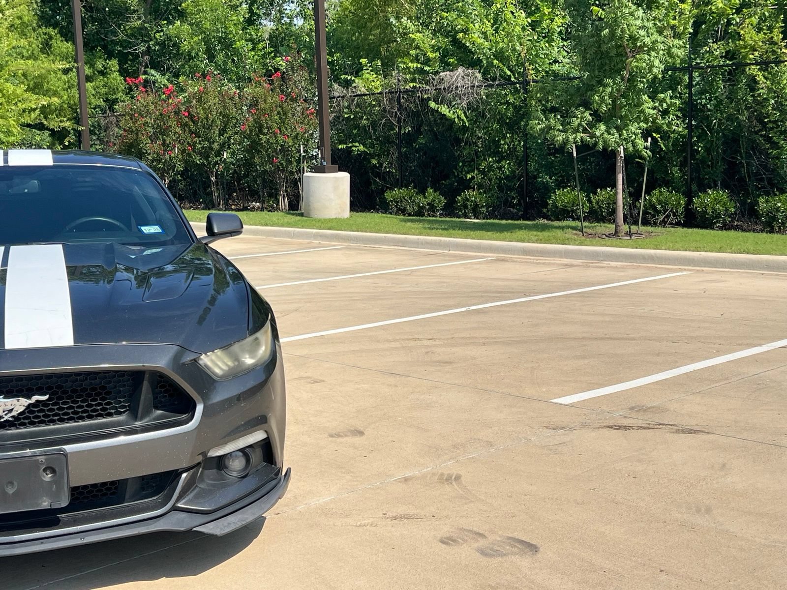 Used 2015 Ford Mustang GT RWD image 3