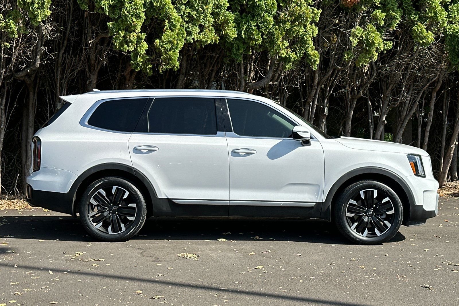Used 2025 Kia Telluride SX Prestige AWD/4WD image 3