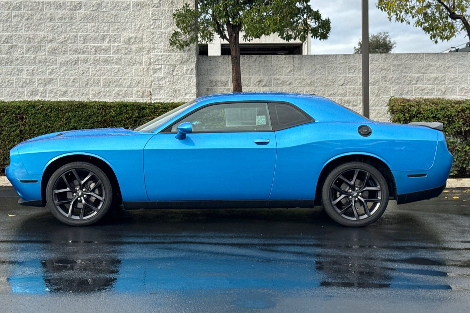 Used 2023 Dodge Challenger SXT w/ Blacktop Package image 7