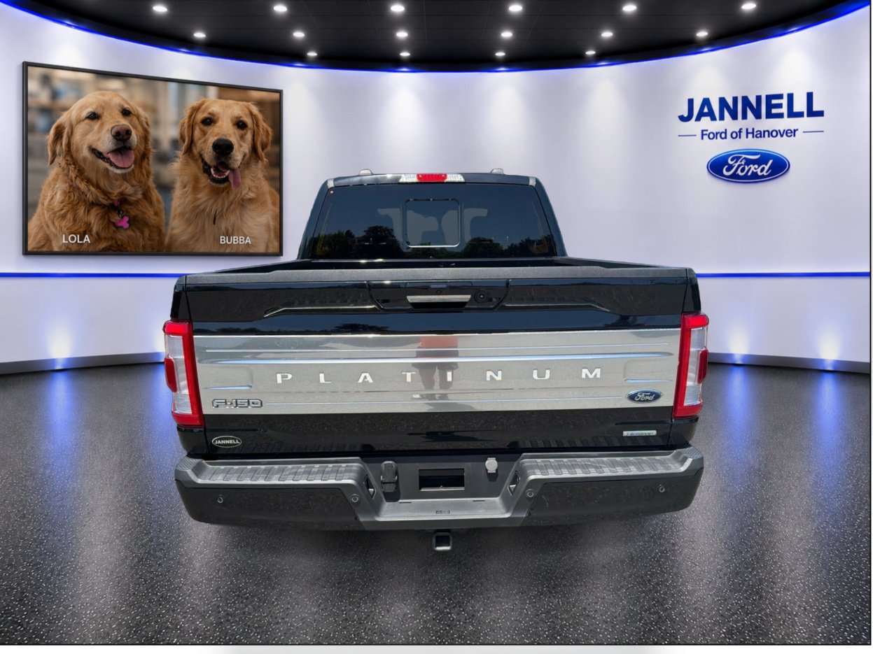 Used 2023 Ford F150 Platinum w/ Equipment Group 701A High AWD/4WD image 7