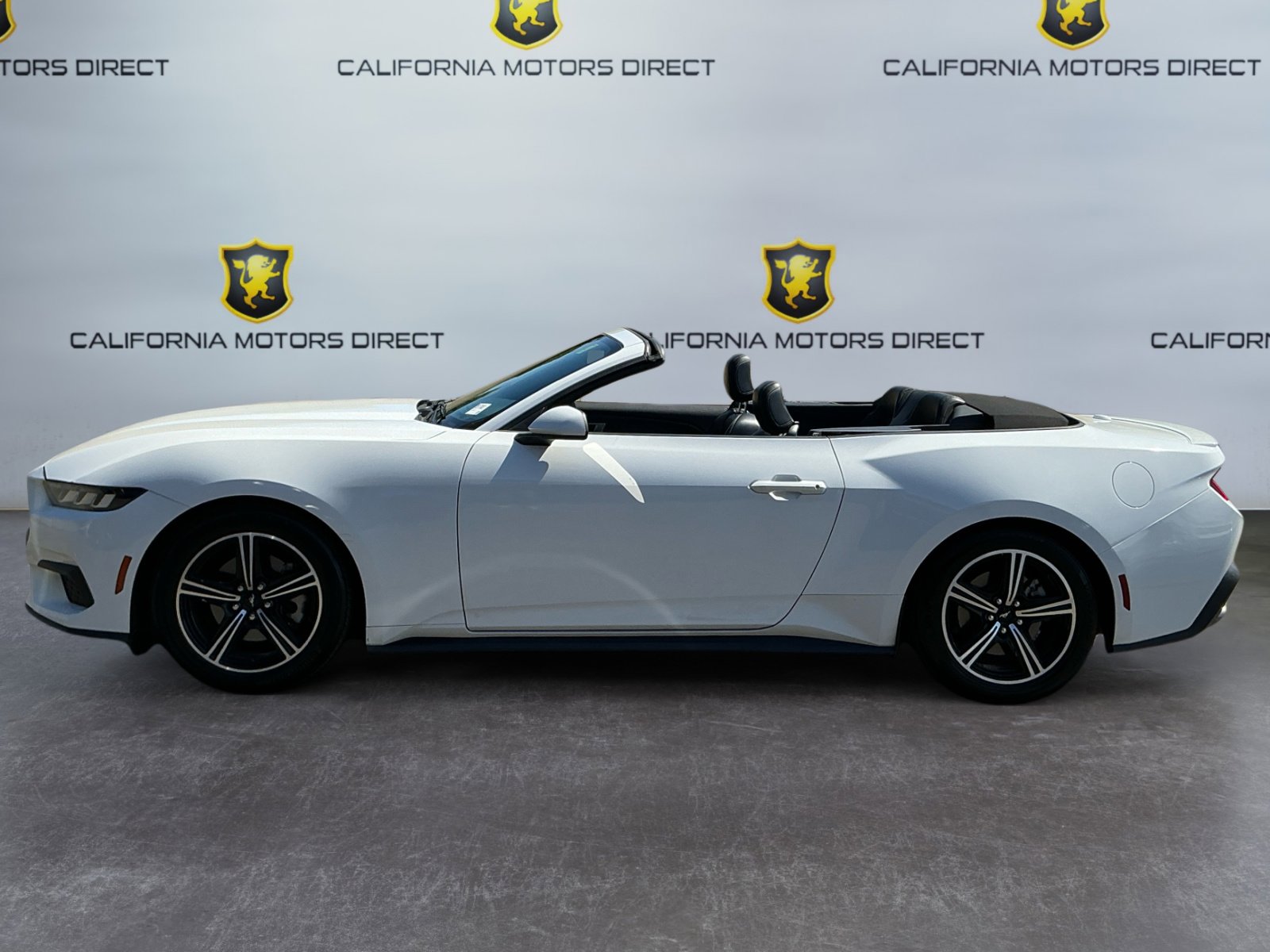 Used 2024 Ford Mustang Premium image 8