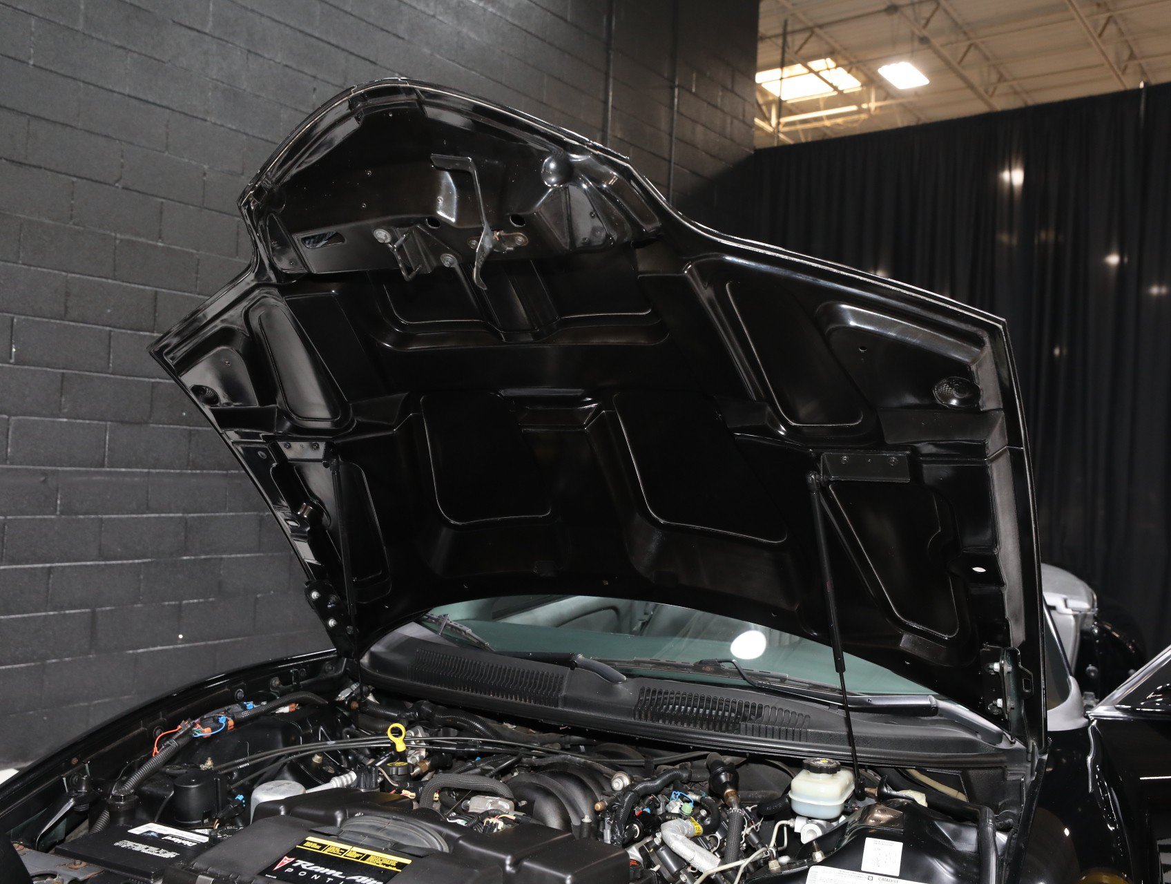 Used 1999 Pontiac Firebird Trans Am RWD image 86