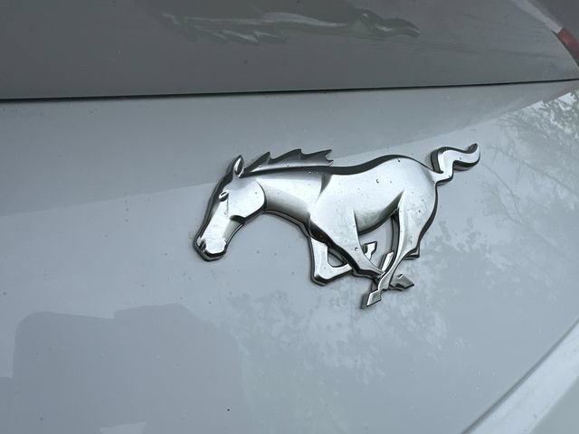 Used 2024 Ford Mustang Premium RWD image 22
