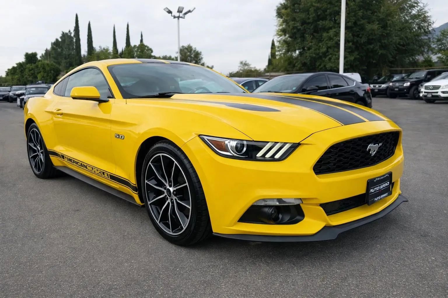 Used 2015 Ford Mustang Coupe w/ Wheel & Stripe Package