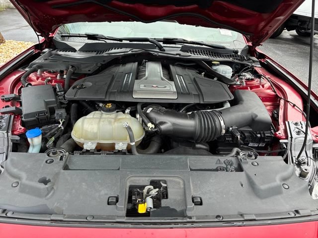 Used 2020 Ford Mustang GT Premium w/ Equipment Group 401A RWD image 18