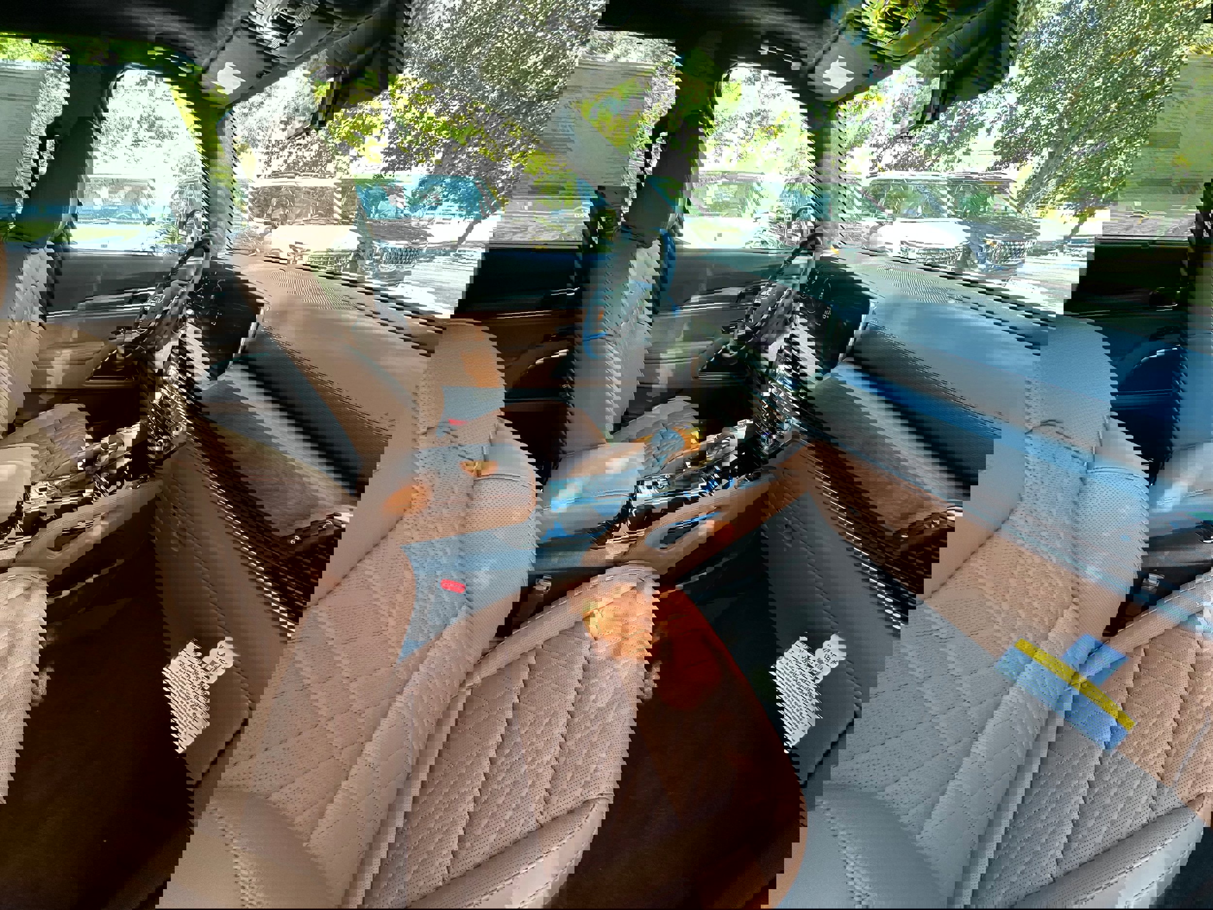 New 2025 Kia Telluride SX Prestige X-Pro image 33