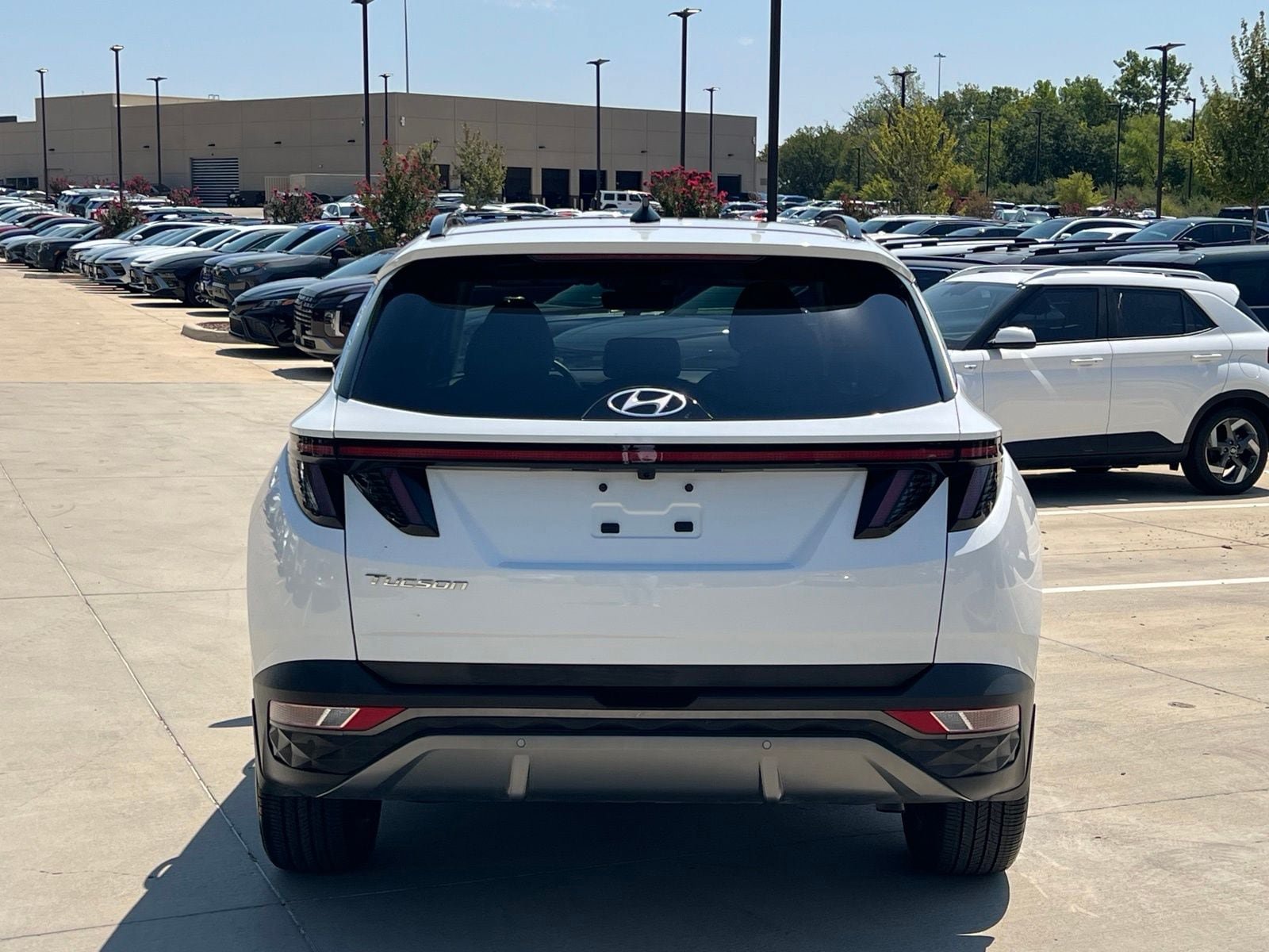 Certified 2024 Hyundai Tucson Limited FWD image 10