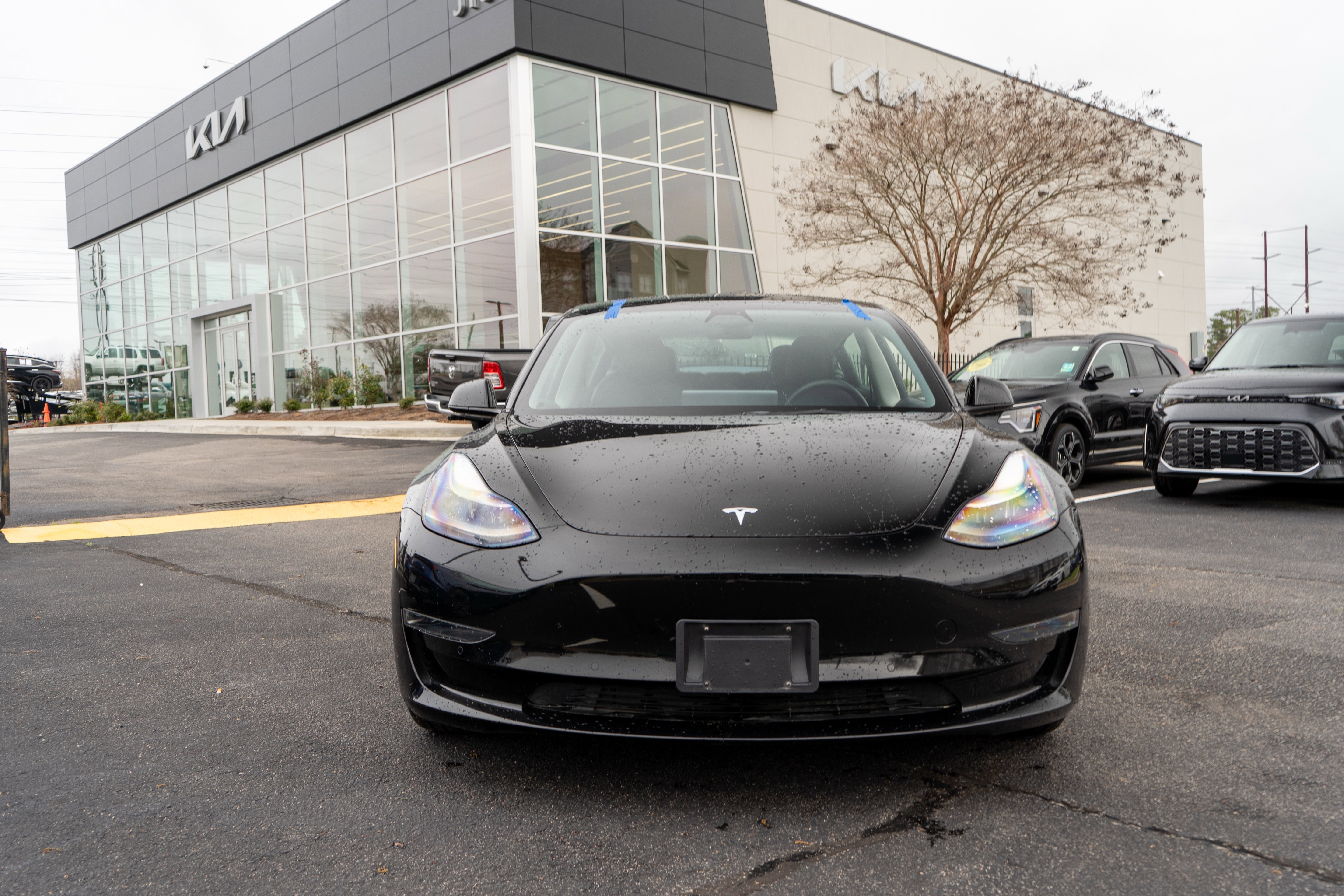 Used 2021 Tesla Model 3 Standard Range Plus image 13