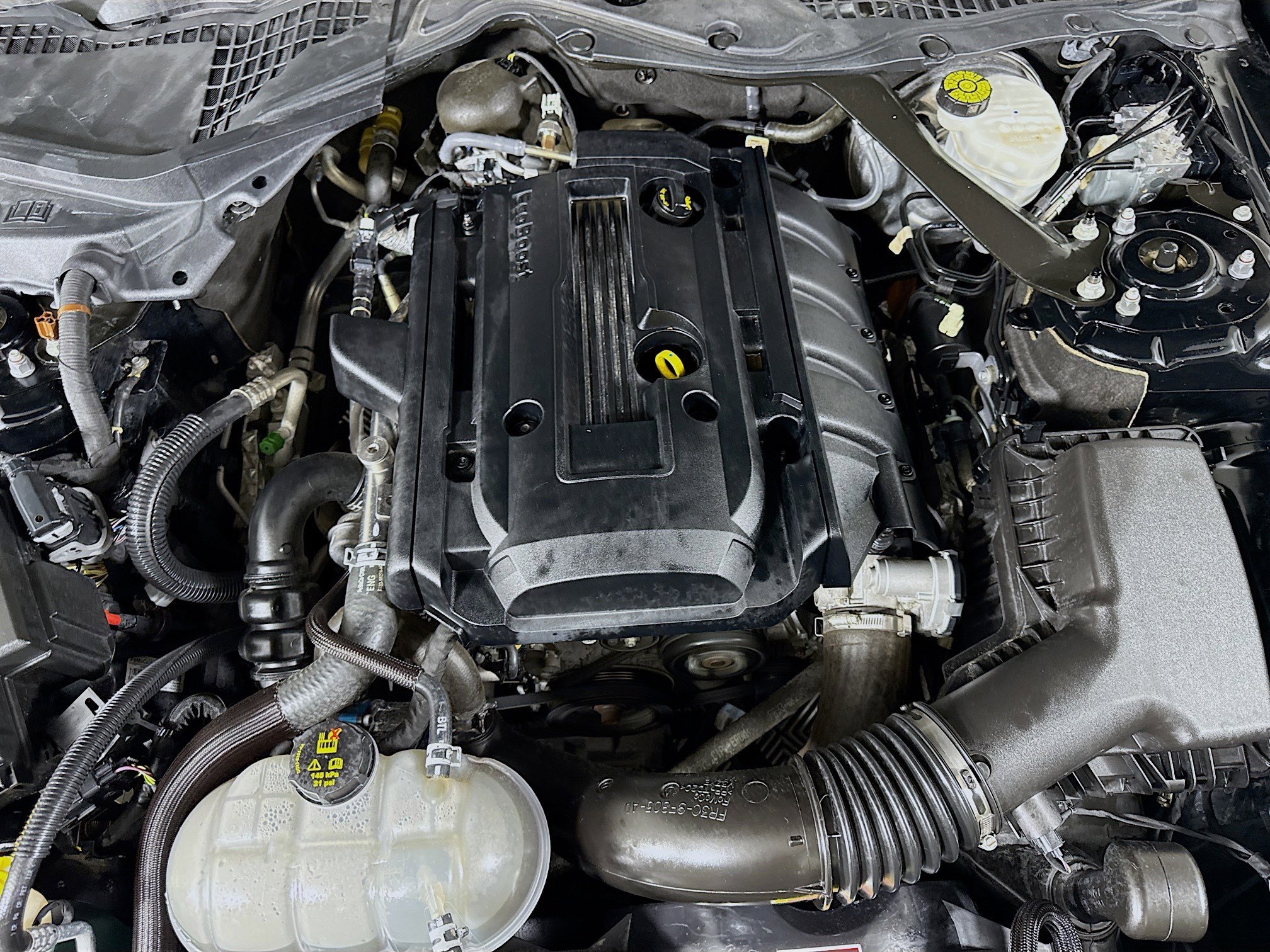 Used 2018 Ford Mustang Premium w/ Equipment Group 201A image 38