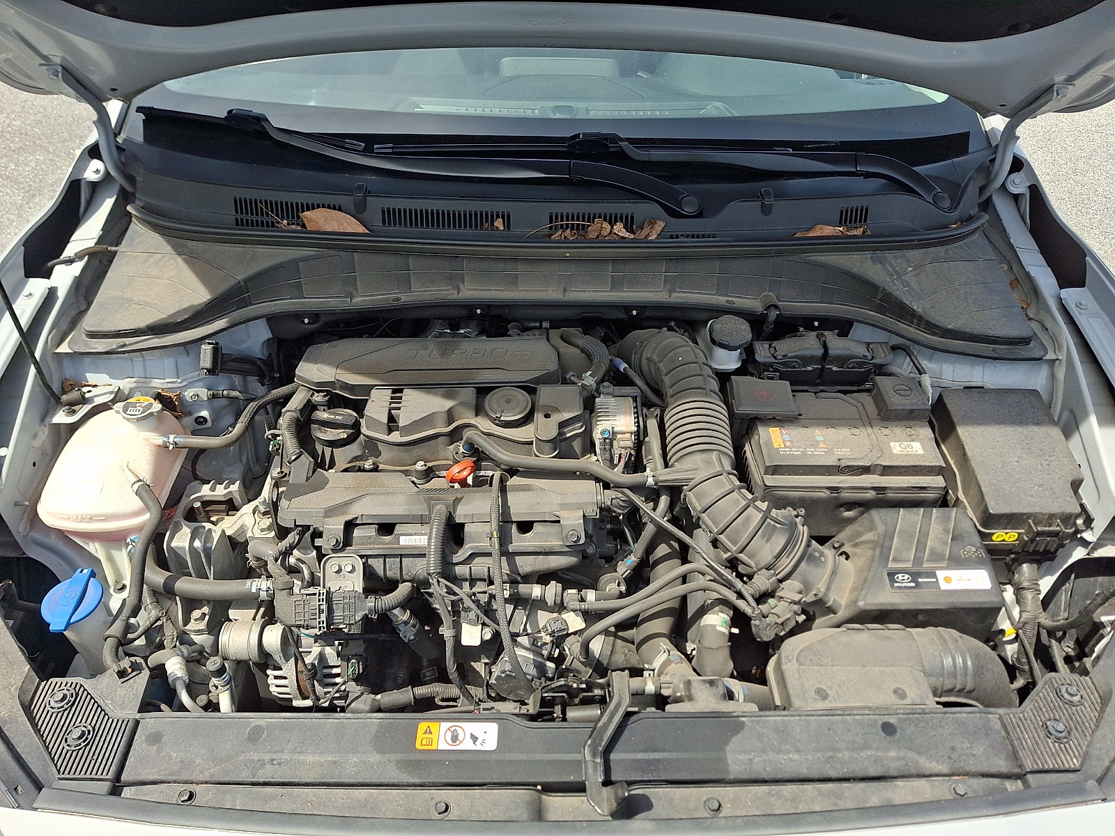 Used 2023 Hyundai Kona Limited image 29