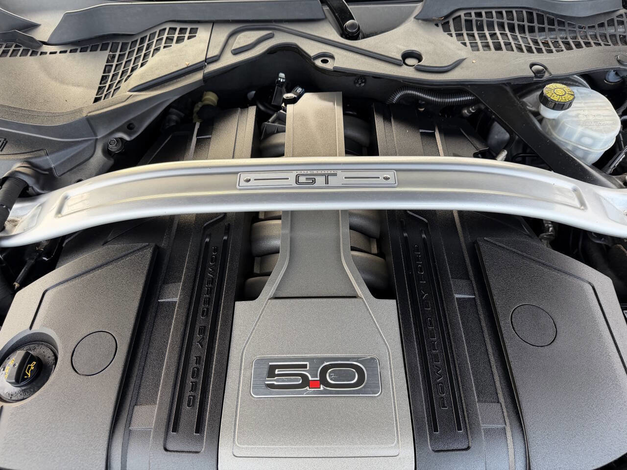 Used 2019 Ford Mustang GT w/ GT Performance Package image 45